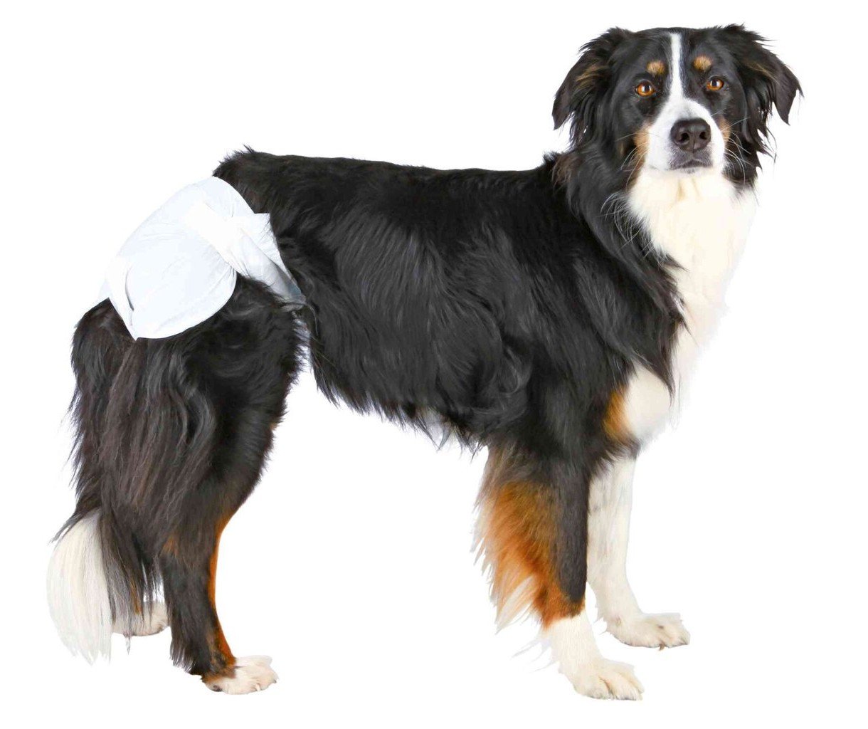 Jednorázové pleny pro feny 12ks/balení