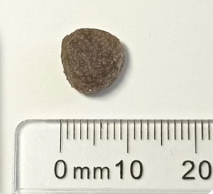 Supra Cat Adult 1,5kg