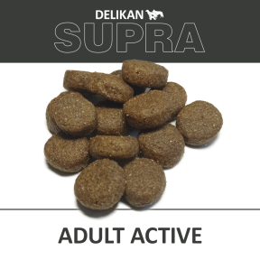 Supra Adult Active 12kg