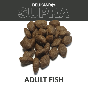 Supra Adult Fish 12kg