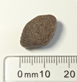 Supra Adult Fish 12kg