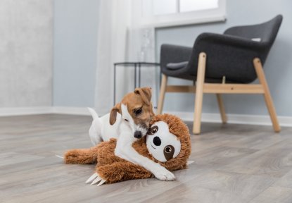 Lenochod plyšová hračka pro psy 56cm