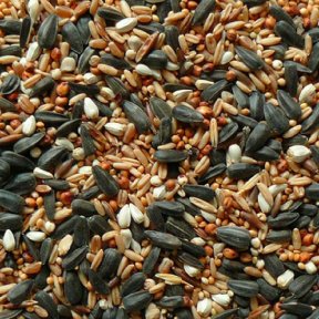 Zimní směs do krmítek 20kg