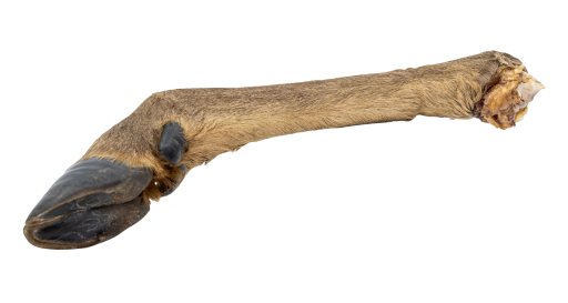 Jelení noha s kožešinou 43-49cm